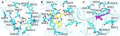 Ensemble of structure and ligand-based classification models for hERG liability profiling